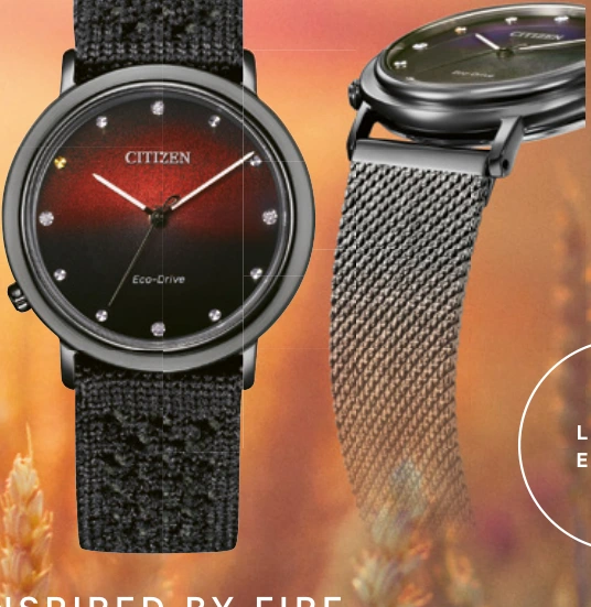 Citizen L Ambiluna EM1007-47E